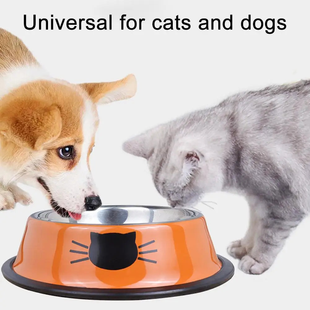 Insulated Stainless Steel Cat Bowl - Double Wall, Non-Slip – photo 3