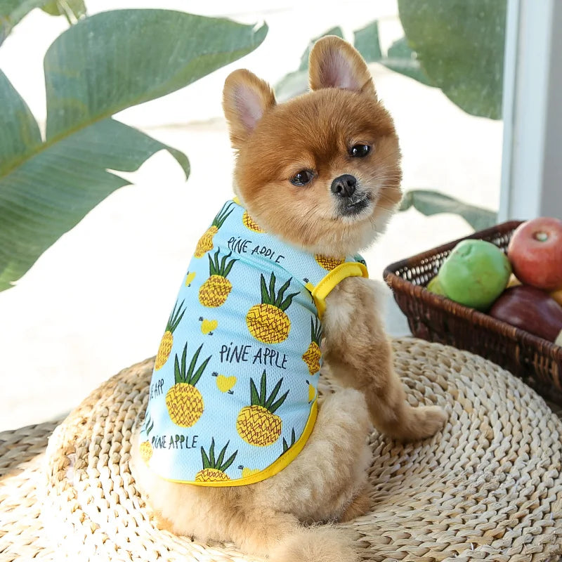 Dog & Cat Cotton Clothes — Cartoon Print Vest for Puppies & Kittens