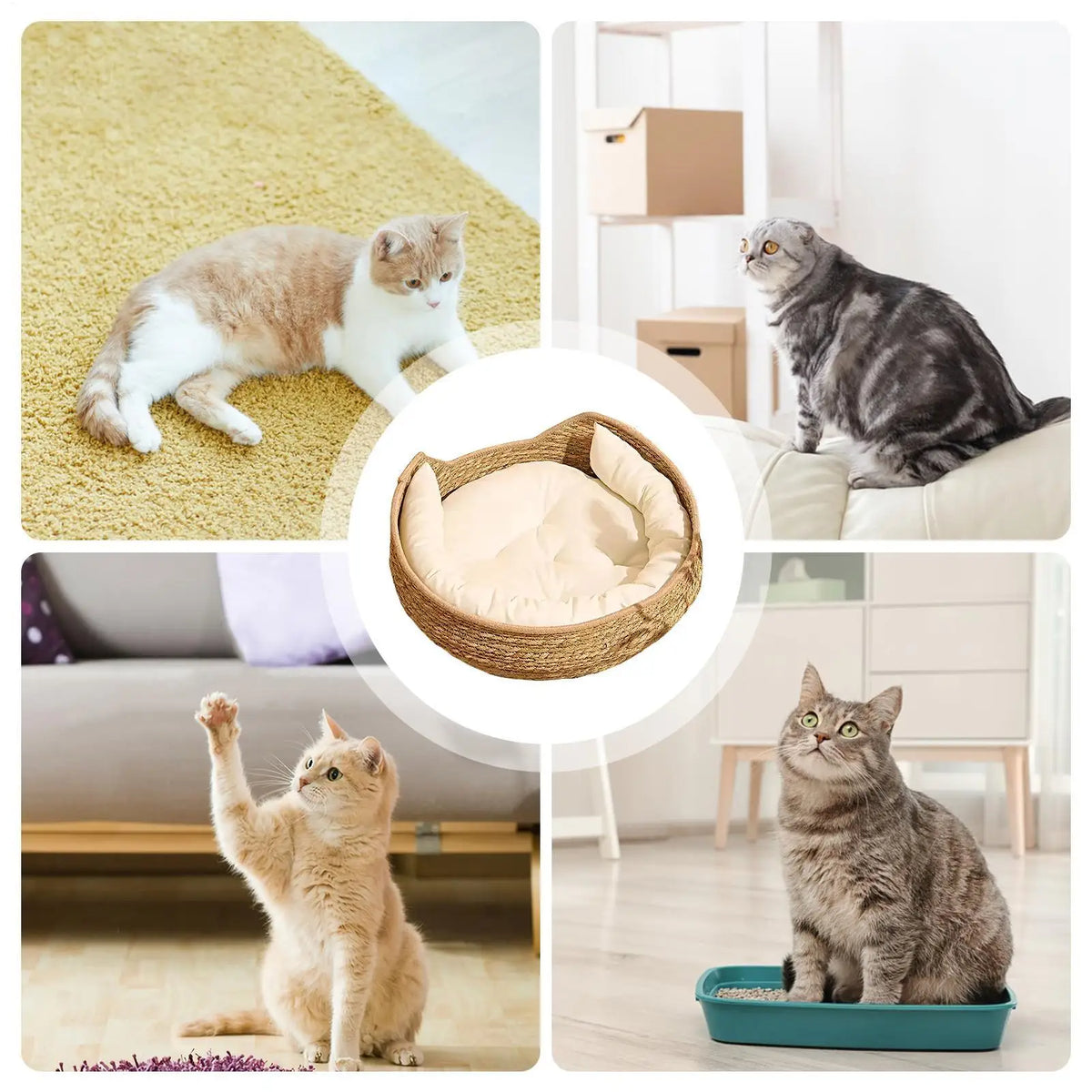 Cat Basket Bed Cotton Rope Woven Cat Bed with Pillow and Cushion All Season Indoor Weaving Pet Resting Scratching Sleeping