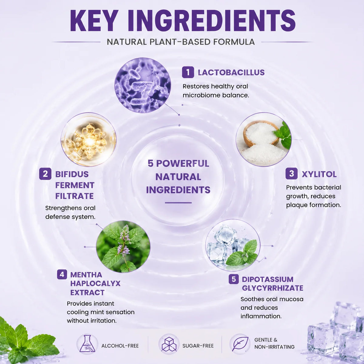 1/3/5pcs Probiotic Fresh Mint Oral Spray, Refreshing Breath Freshener for Daily Oral Care, Quick & Convenient Mouth Spray with C