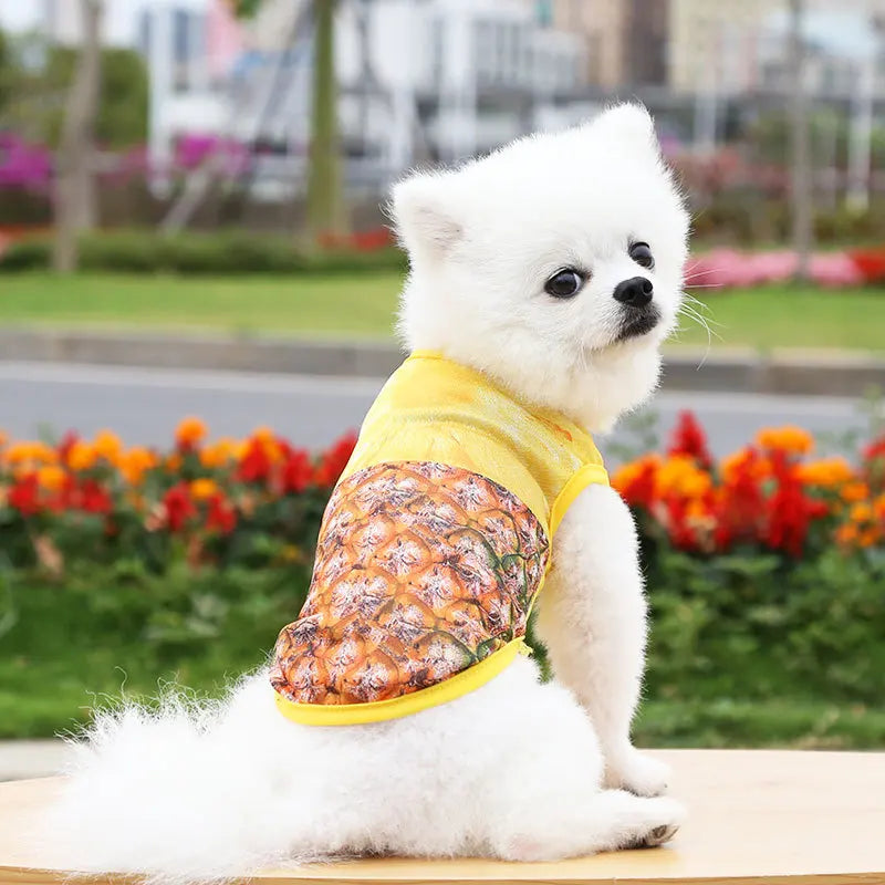 Dog & Cat Cotton Clothes — Cartoon Print Vest for Puppies & Kittens