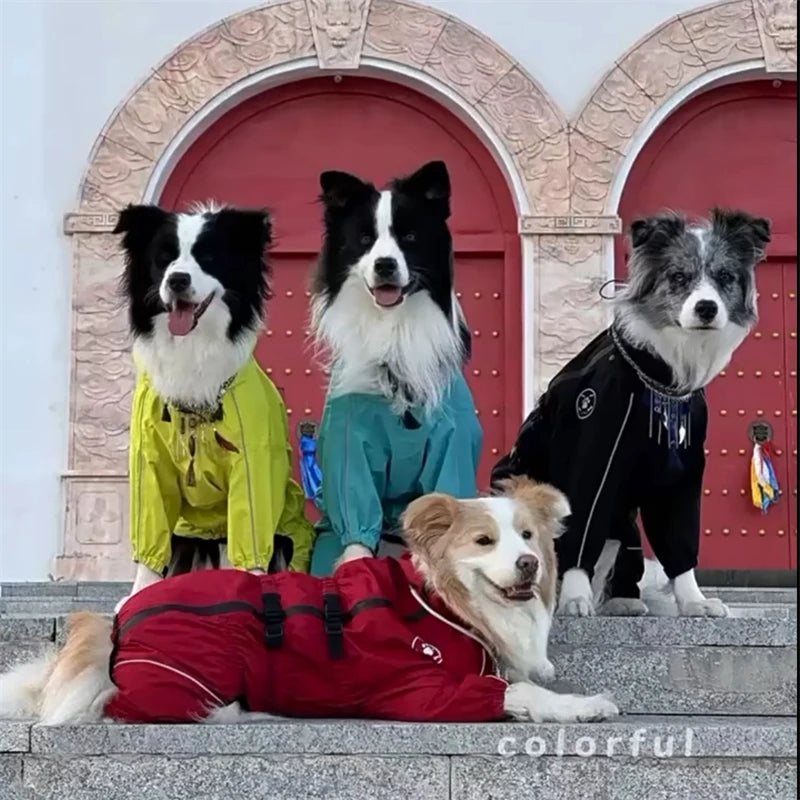 Reflective Dog Raincoat Jumpsuit - Lightweight Jacket for Large Dogs - photo 6