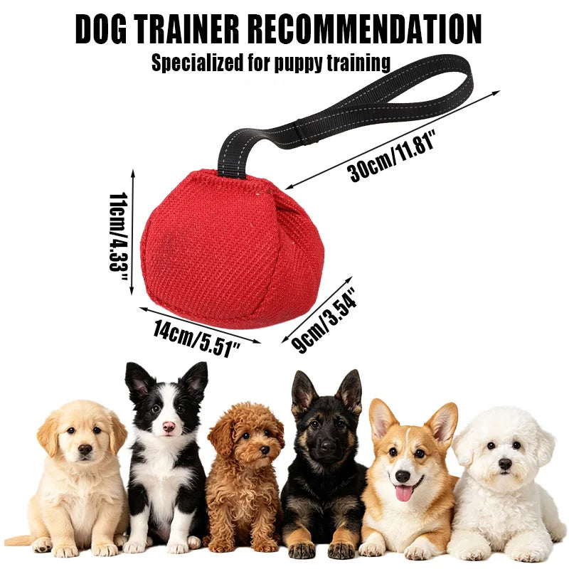 Outdoor Tug-of-War Dog Toy - Bite-Resistant Pull Toy – photo 6