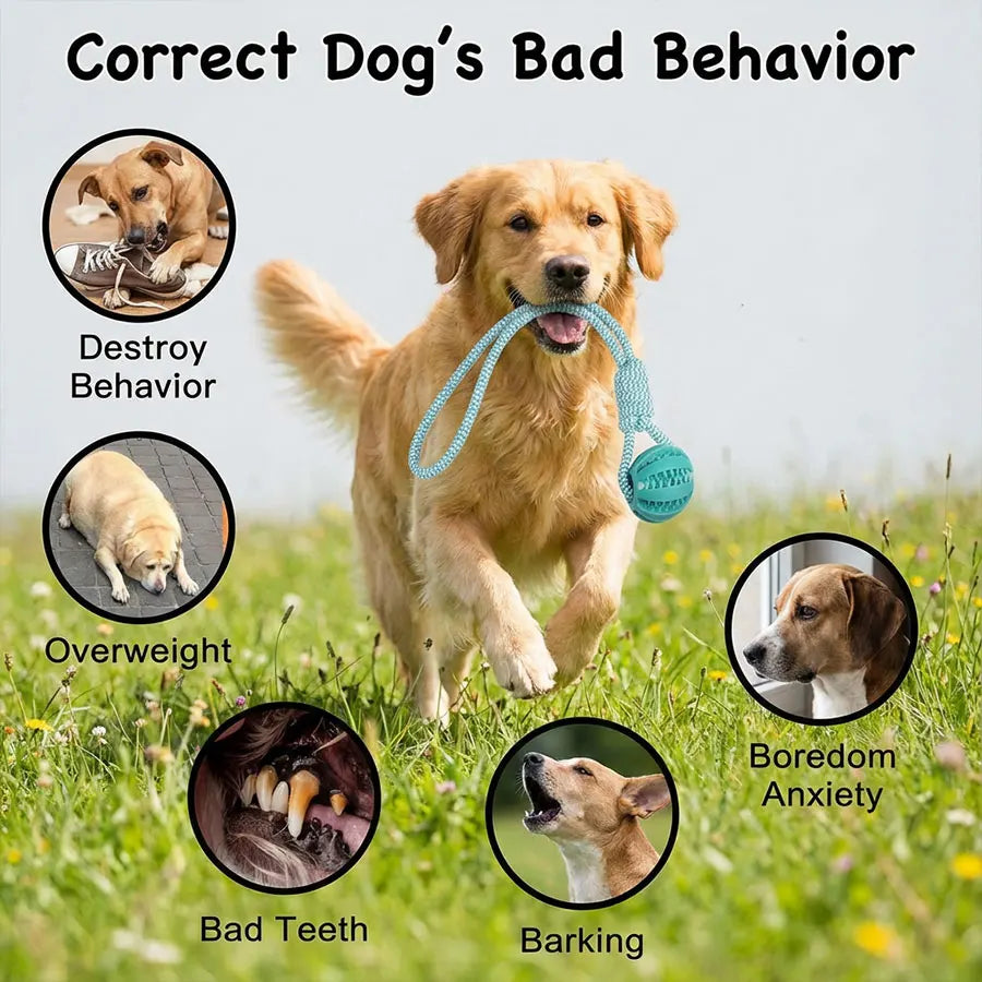 Interactive Dog Toy for Small & Medium Dogs Durable Tug of War Rope with Rubber Ball for Training & Outdoor Play (Blue)