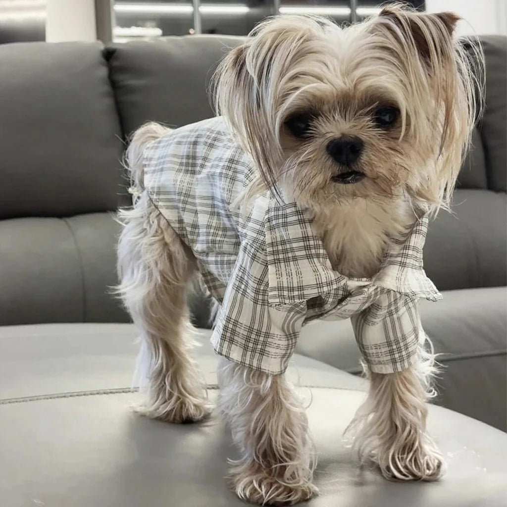 Plaid Dog Shirt - Spring Summer Button Shirt for Small Dogs & Cats - photo 4