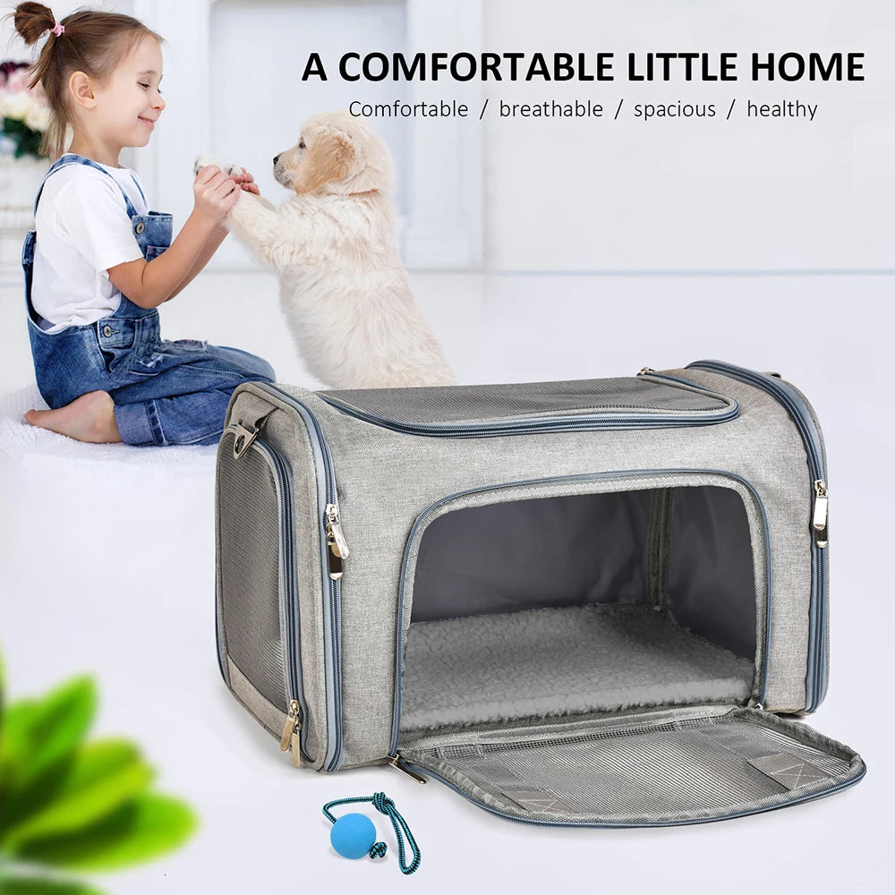 Soft-Side Dog Carrier Bag & Backpack – Airline Approved Pet Travel Bag for Small Dogs & Cats | M & L (Black, Gray)