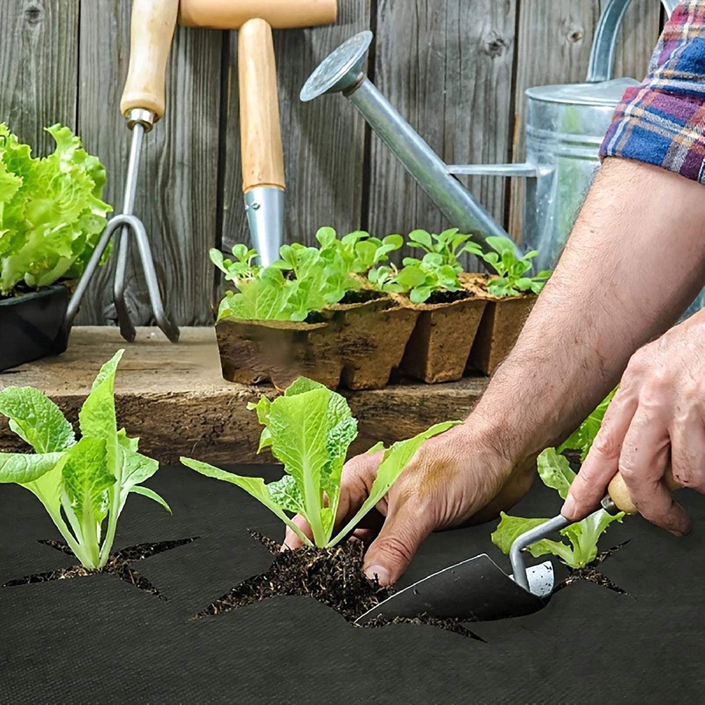 Durable perforated weed barrier fabric - a non-woven fabric used for vegetable cultivation in farms and gardens to prevent weeds