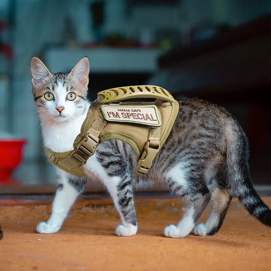 Tactical Mesh Cat Harness - Escape-Proof Vest with Control Handle
