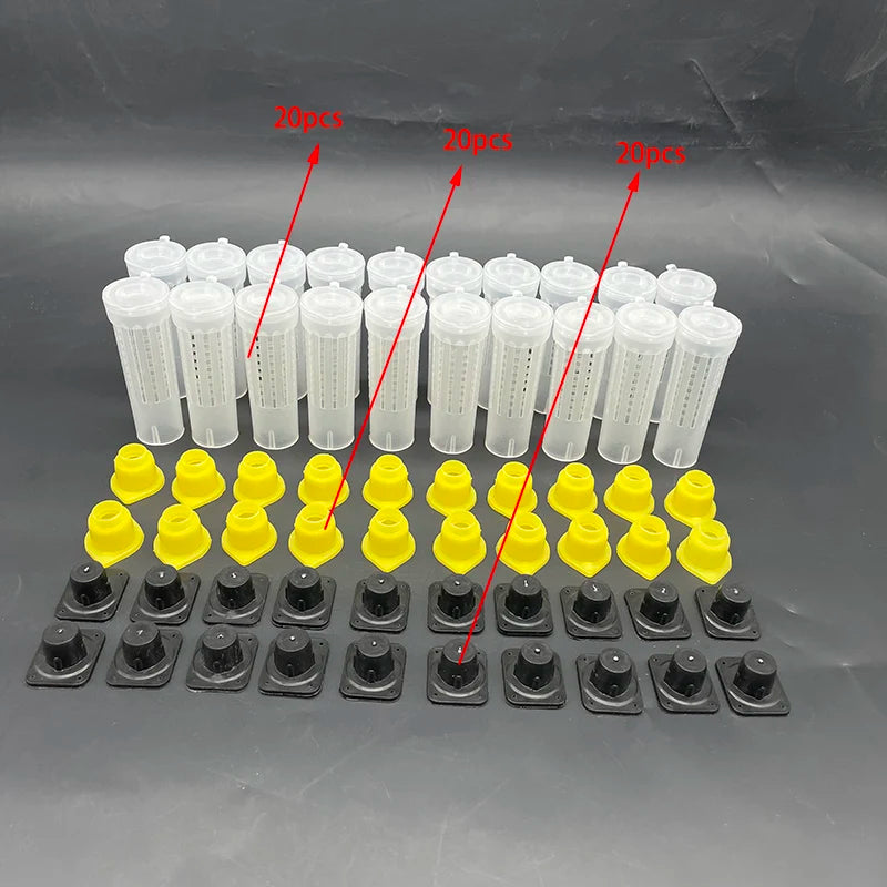 1 Set Bees Tools Cages King Queen Rearing Cupkit System Bee Beekeeping Catcher Box Cell Cups Cage Nicot Complete Kit