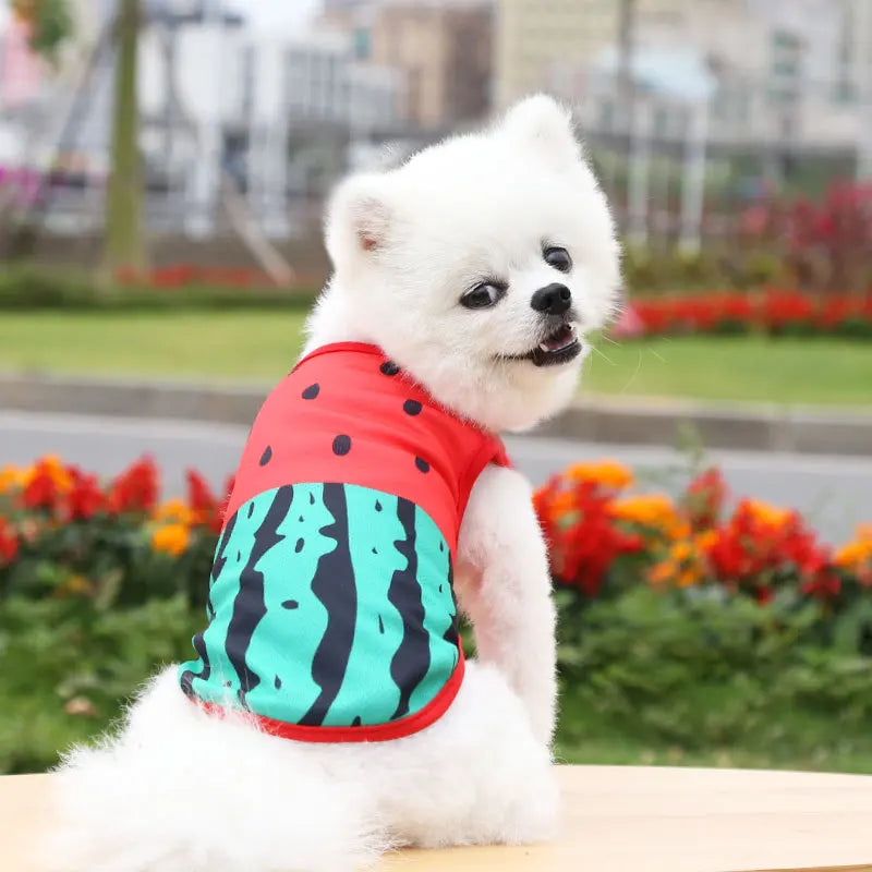 Dog & Cat Cotton Clothes — Cartoon Print Vest for Puppies & Kittens