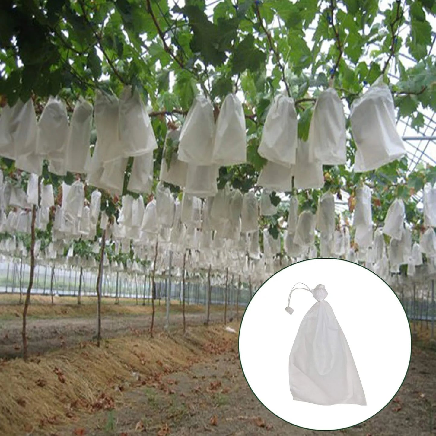 50Pc Fruit Protection Bags — Drawstring Mesh Tree Netting Covers
