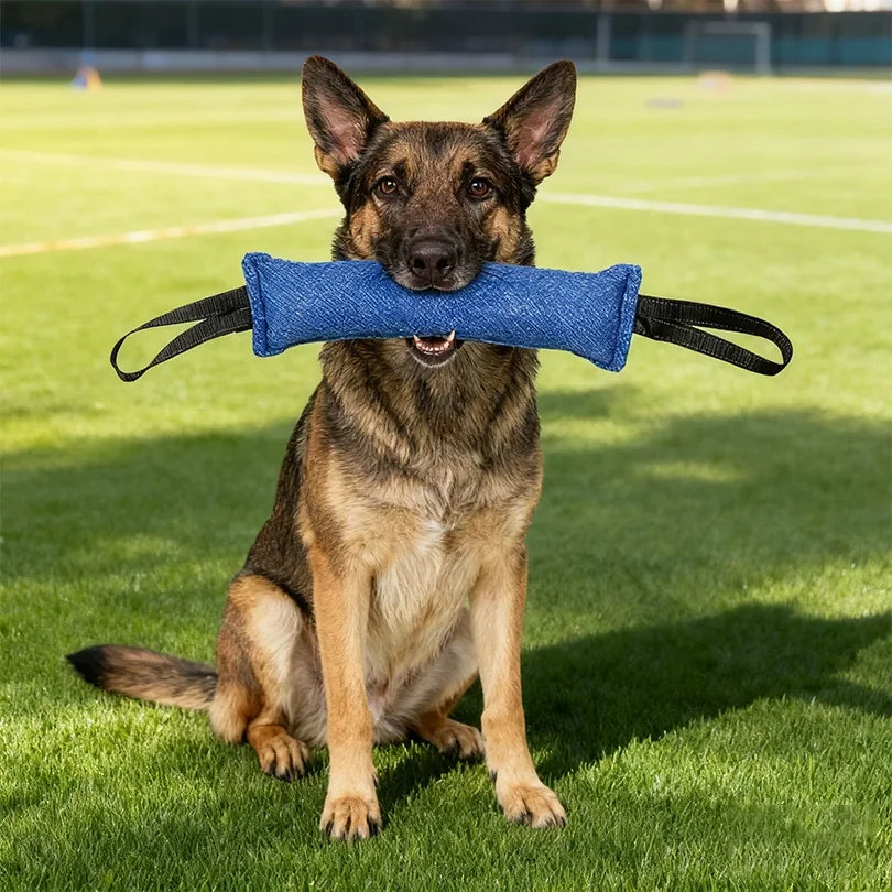 Jute Dog Bite Pillow - Tug Training Toy, Large & Small Dogs