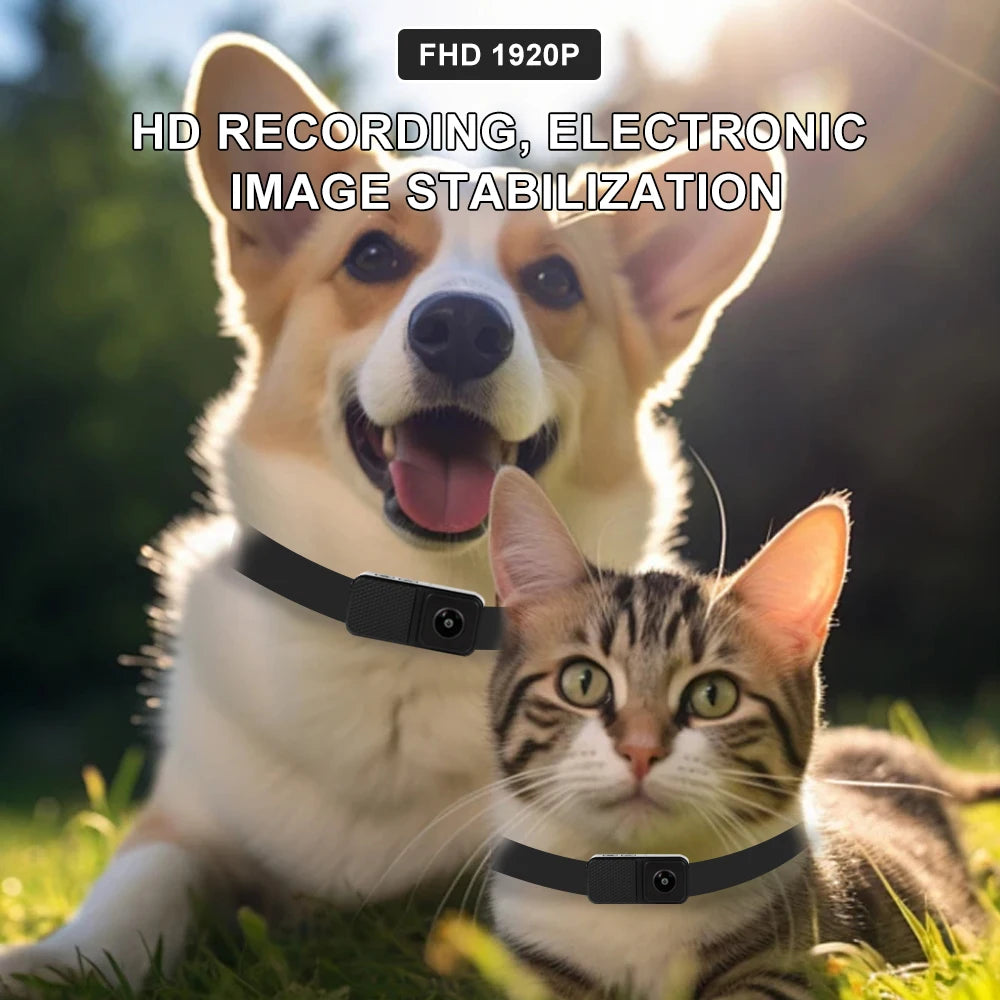 BORME 1080P Pet Collar Camera — No WiFi Needed, for Dogs & Cats