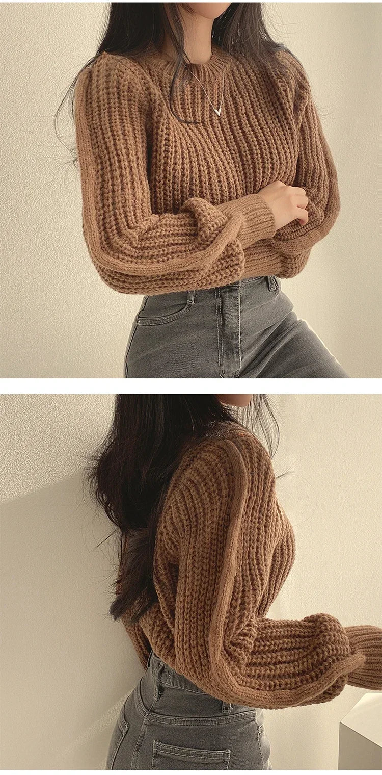 Women's Lantern Sleeve Loose Knit Sweater