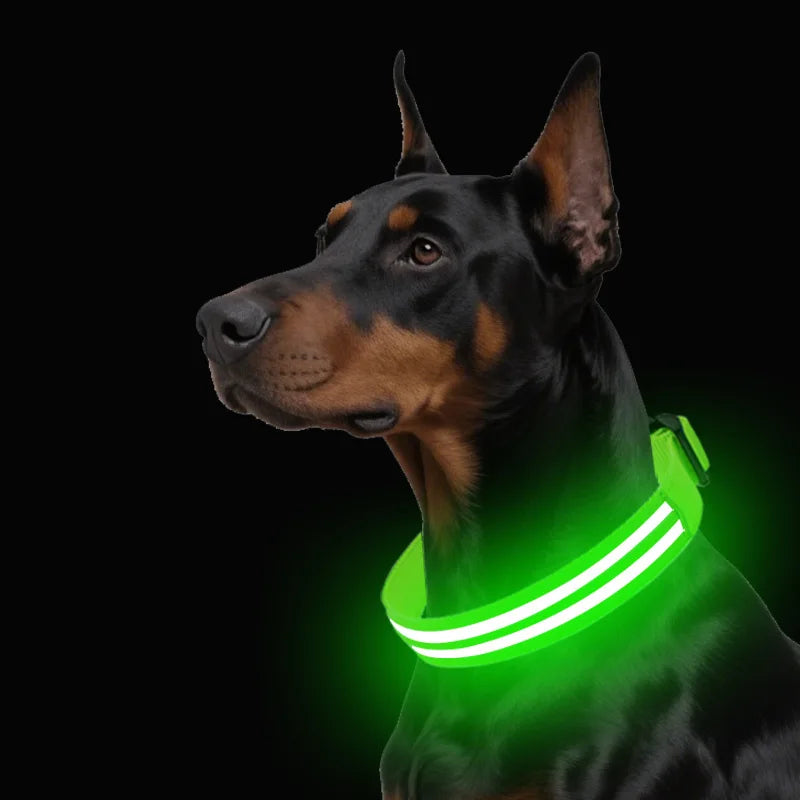 LED Light Up Dog Collar – Rechargeable Glowing Safety Collar for Night Walks | Color LED Pet Necklace with Harness & Leash Ring
