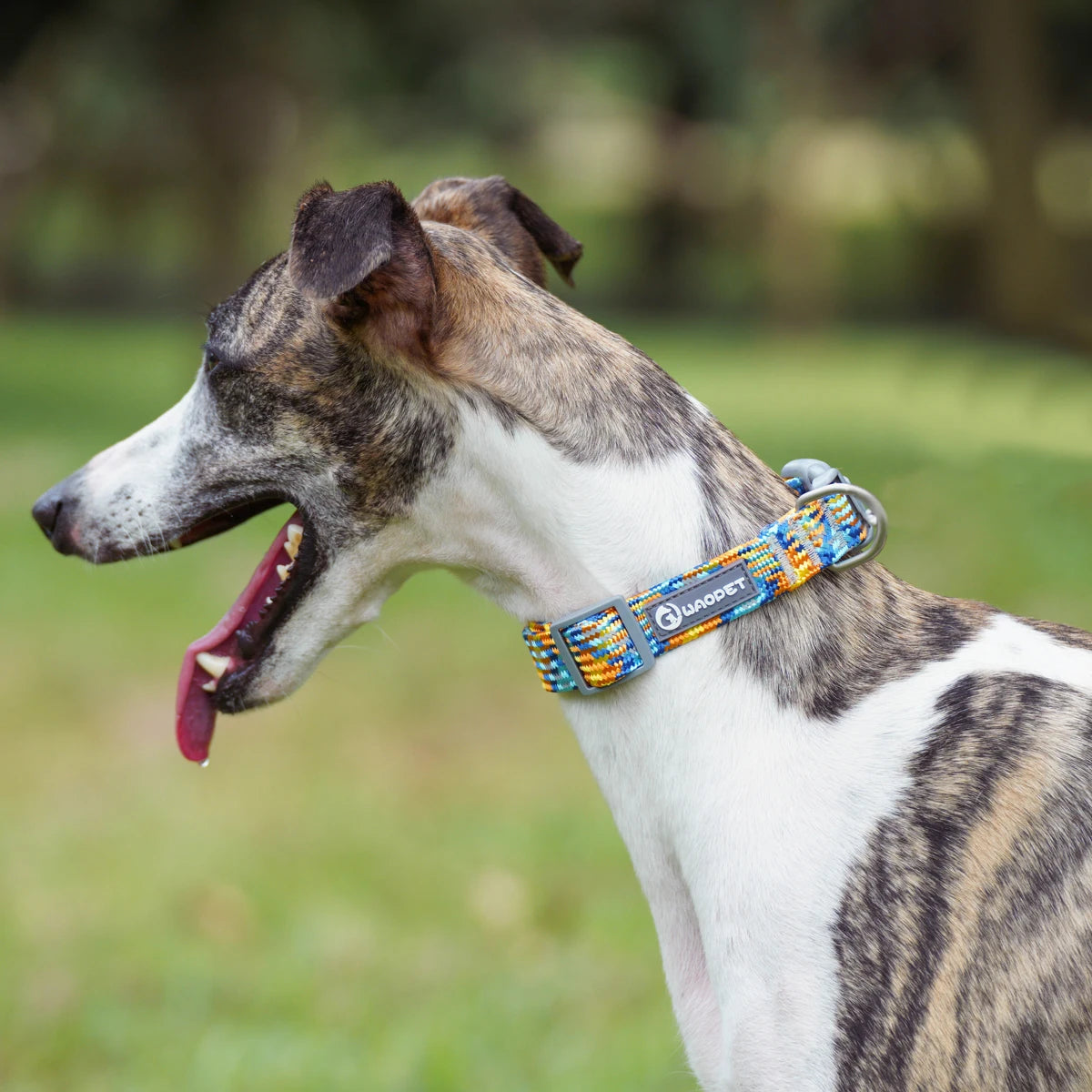 Colorful Reflective Collar - Kitten & Puppy Safety – photo 3