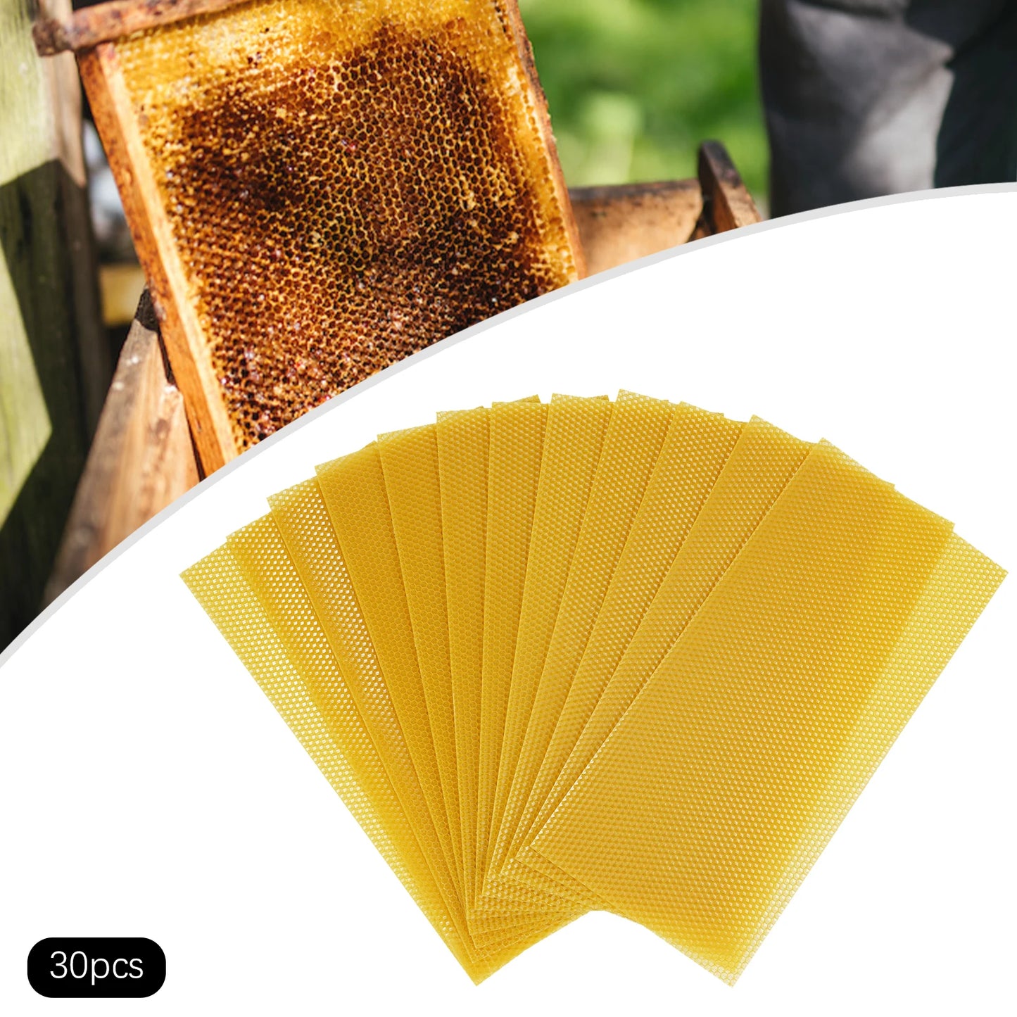 30-Pack Natural Beeswax Hive Foundation Sheets — Beekeeper Starter Kit