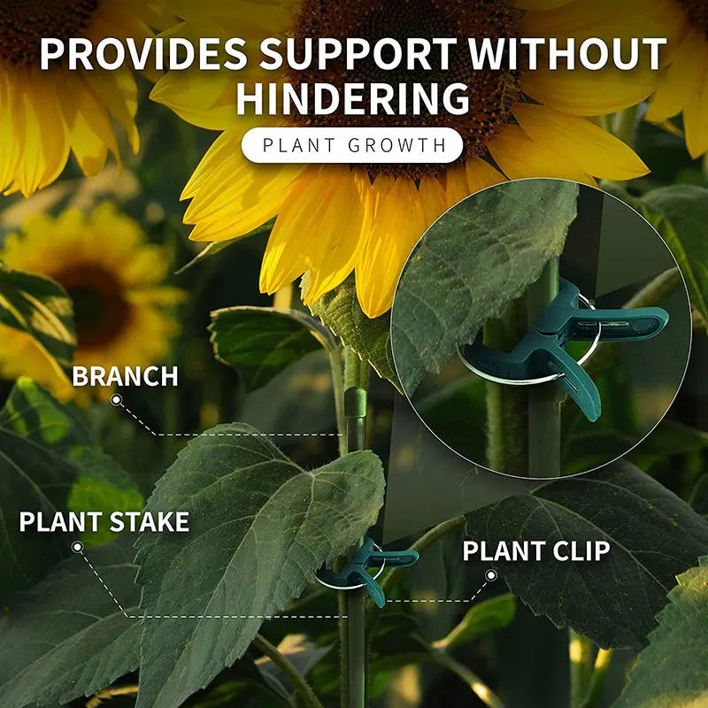 20Pcs Garden Plant Support Clips — Reusable Vine & Stem Holders