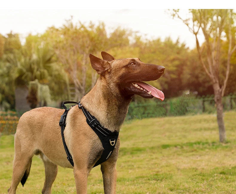 TRUE LOVE Pet Harness No Pull Nylon Reflective Dog Harness Adjustable Comfortable Control Step-in Brilliant Truelove TLH5654