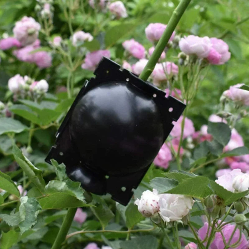 Garden Orchard Plants Grafting Rooting Box Reusable Cutting Garden Rooting Clone Propagation Ball Breeding Equipment for Sapling