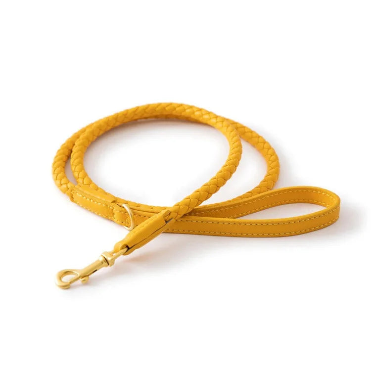 Braided Dog Leash & Collar - Adjustable Walking Rope for Small Dogs - photo 11
