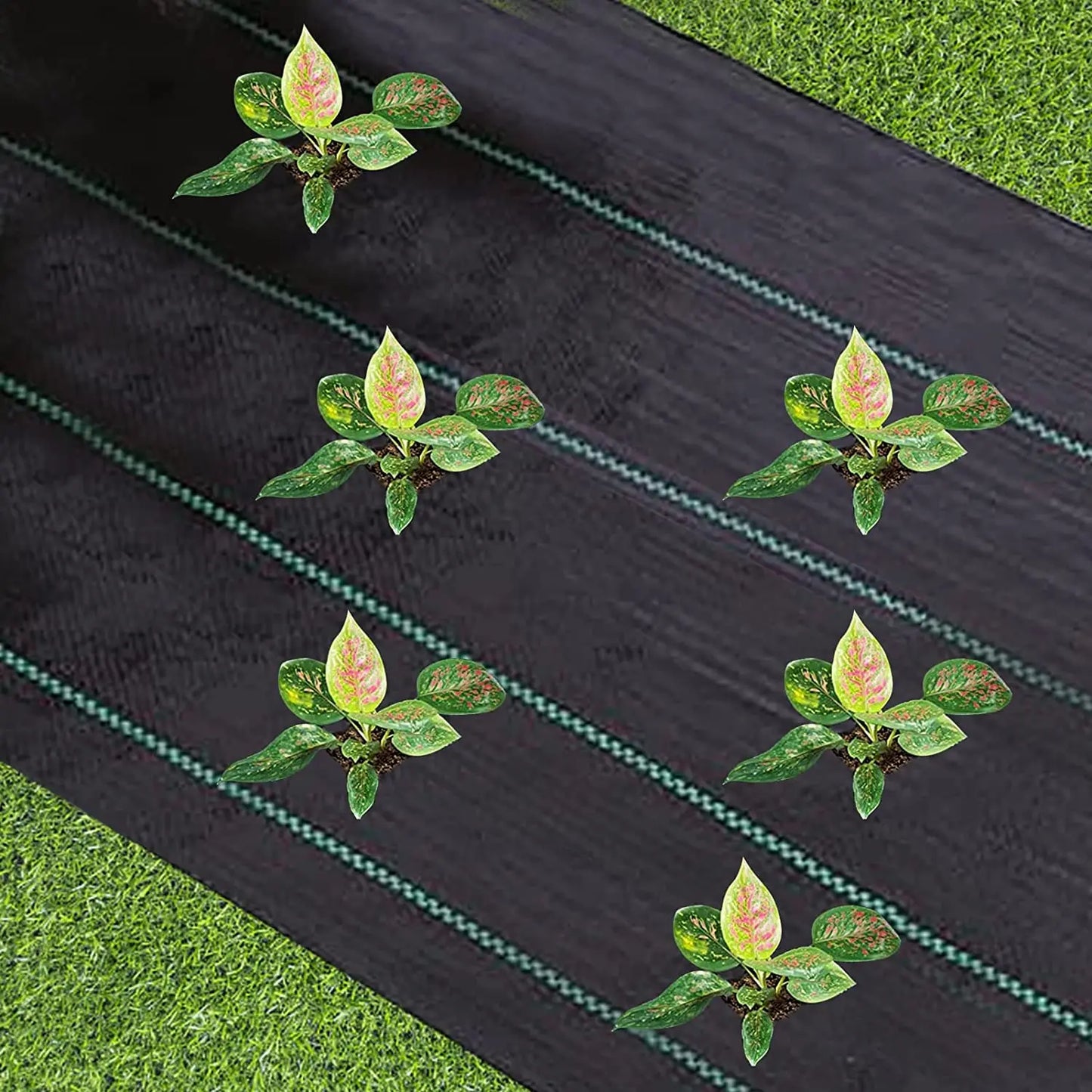 Heavy Duty Weed Barrier Fabric for Effective Weed Control