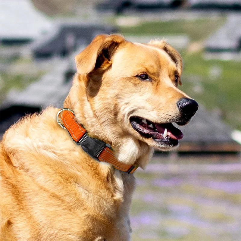 Reflective Nylon Pet Collar - Adjustable, Anti-Slip – photo 2