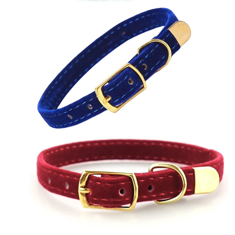Cat Collar With Safety Cat Collars Adjustable Puppy Dog Collar For Small Dogs Kittens Solid Pet Collarhu Products Cat Necklace