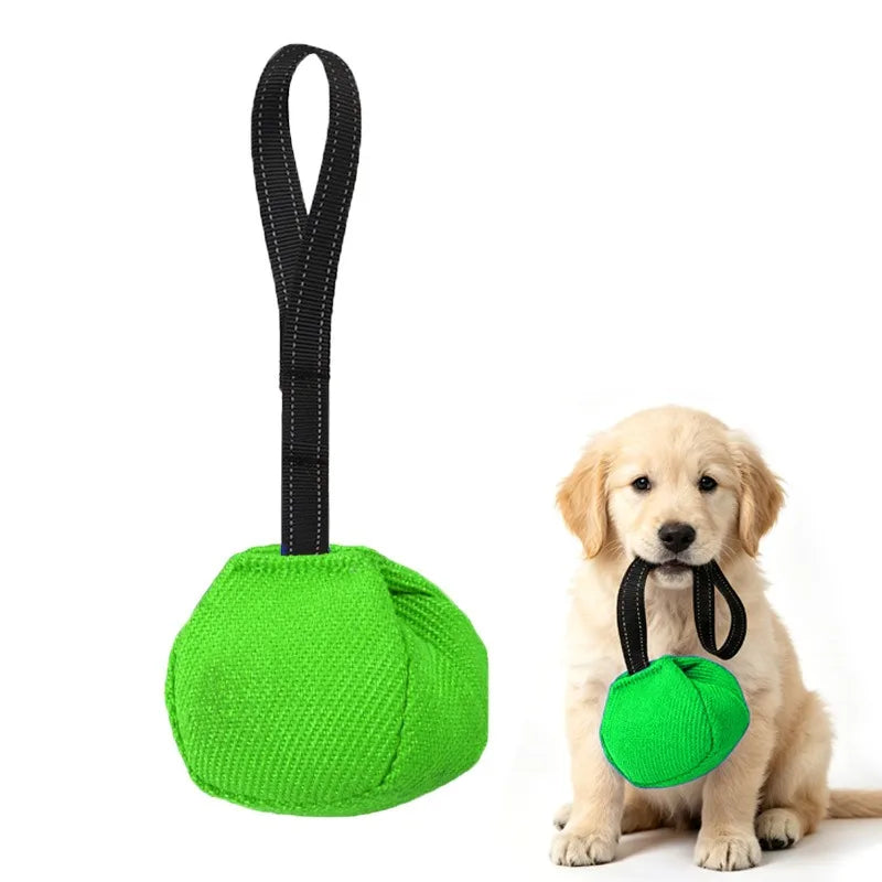 Outdoor Tug-of-War Dog Toy - Bite-Resistant Pull Toy