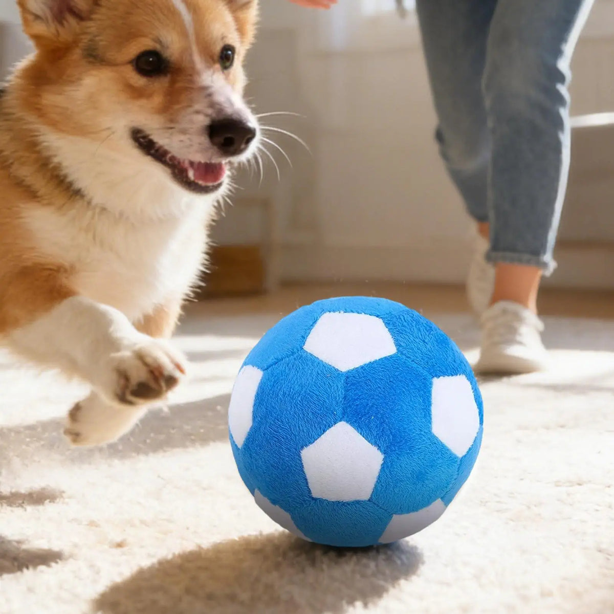 Plush Soccer Ball Dog Toy - Soft Squeaky Ball for Puppies – photo 5