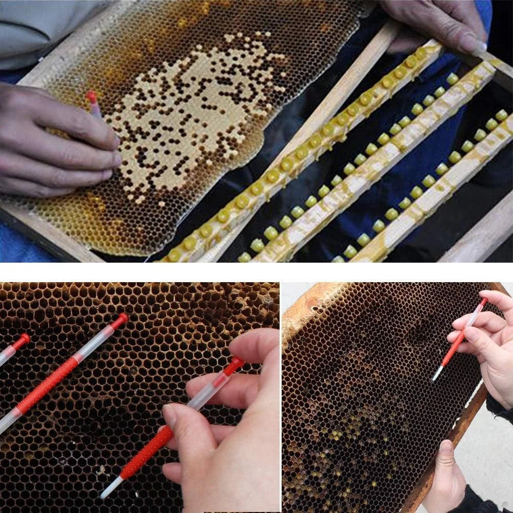 10Pcs Beekeeping Grafting Tool Queen Bee Larva Transfer Needle Apiculture Retractable Grafting Equipment Beekeeping Tools
