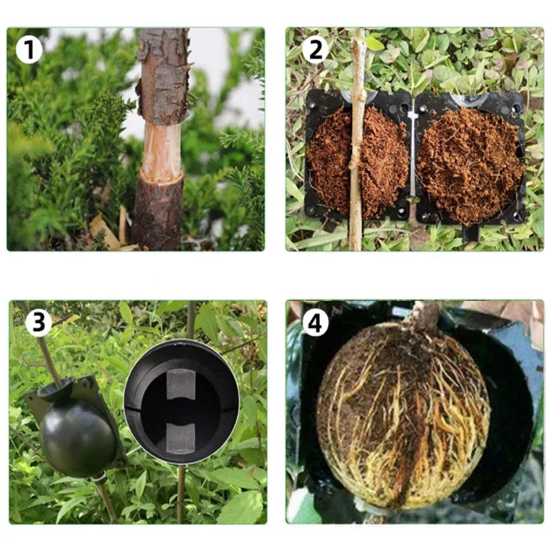 Garden Orchard Plants Grafting Rooting Box Reusable Cutting Garden Rooting Clone Propagation Ball Breeding Equipment for Sapling