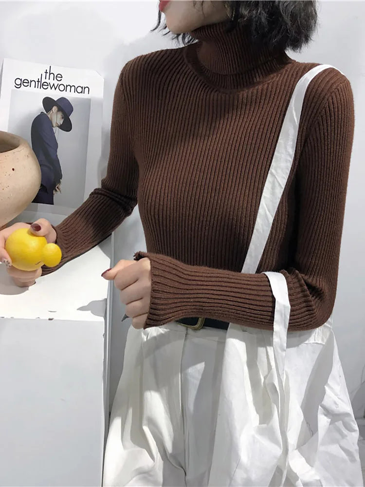 Women's Ribbed Turtleneck Sweater — Thick Knit Jumper
