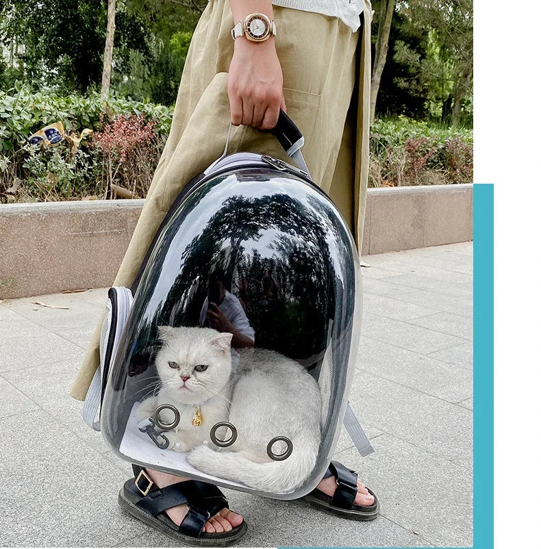 Portable Cat Pet Carrier Backpack Transparent Capsule Bubble Pet Backpack Small Animal Puppy Kitty Breathable Carrier for Travel