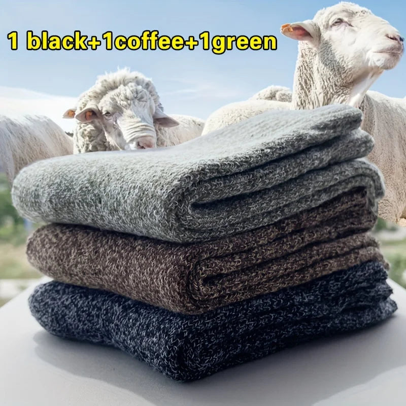 Men's Thick Terry Crew Socks, 3 or 5 Pairs