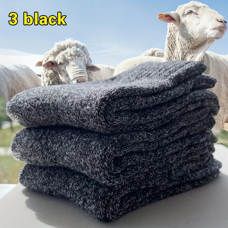 Men's Thick Terry Crew Socks, 3 or 5 Pairs