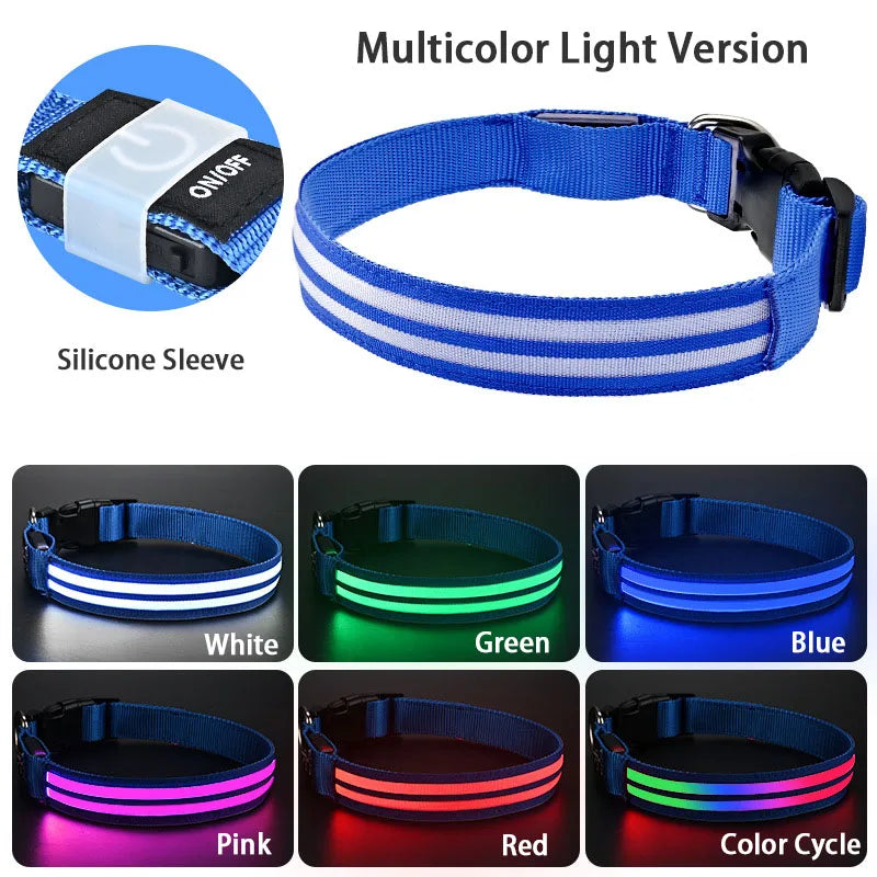 LED Light Up Dog Collar – Rechargeable Glowing Safety Collar for Night Walks | Color LED Pet Necklace with Harness & Leash Ring