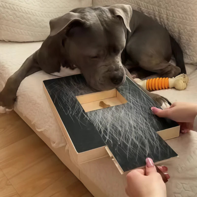 Wooden Dog Nail Scratch Board with Treat Box