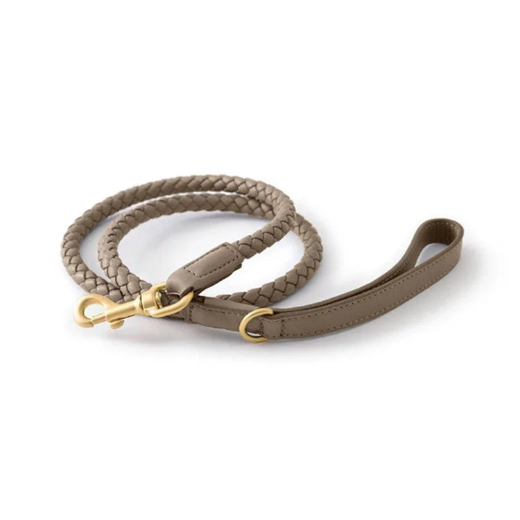 Braided Dog Leash & Collar - Adjustable Walking Rope for Small Dogs - photo 7