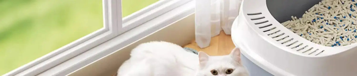 Large Waterproof Cat Litter Mat, 2-Layer Non-Slip