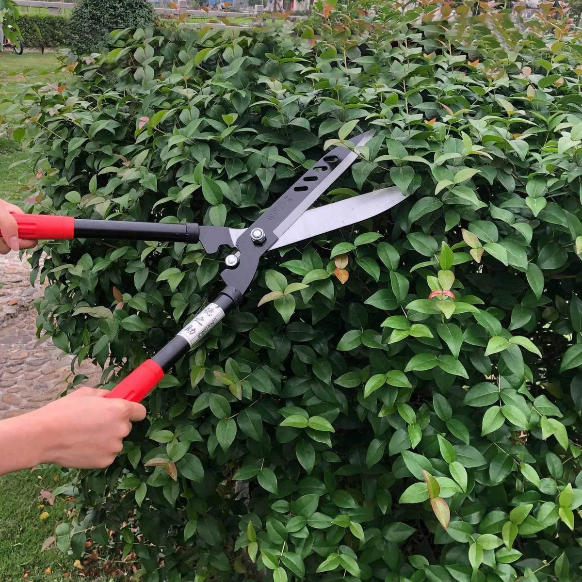 Professional Garden Hedge Lopper — Long-Reach Bypass Pruner