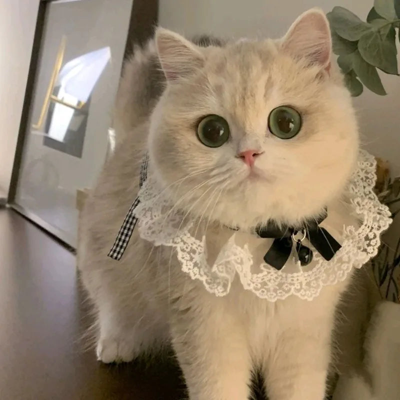 Cat Dog Collar Silk Wedding Cat Puppy Ribbon Scarf Princess Style Lace Collar Bell Necklace Bib New Kitten Accessories Bowtie