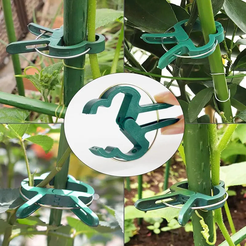20Pcs Garden Plant Support Clips — Reusable Vine & Stem Holders