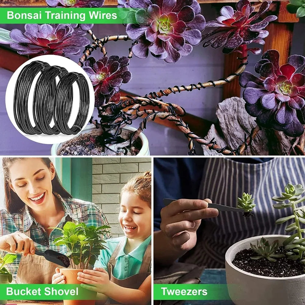 Bonsai Tools Kit- 24 PCS Bonsai Tree Kit Tools for Beginners,  Complete Set for Bonsai Tree Care, Pruning, and Shaping