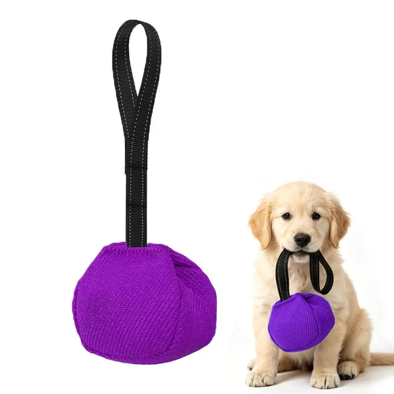 Outdoor Tug-of-War Dog Toy - Bite-Resistant Pull Toy