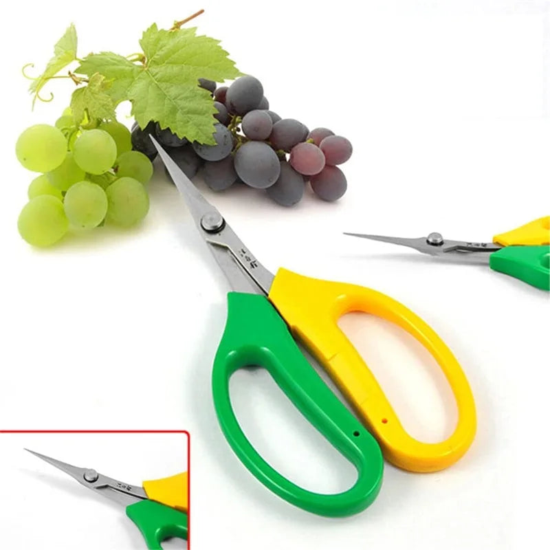 Garden Pruning Shears – Curved-Blade Fruit & Flower Clippers with Soft Ergonomic Handles