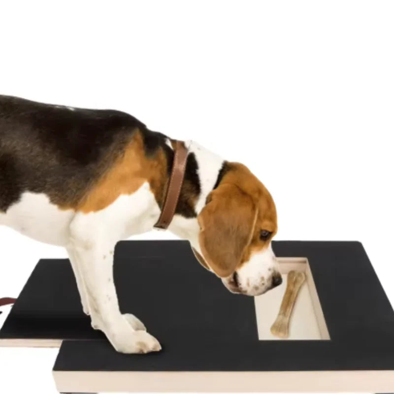 Wooden Dog Nail Scratch Board with Treat Box