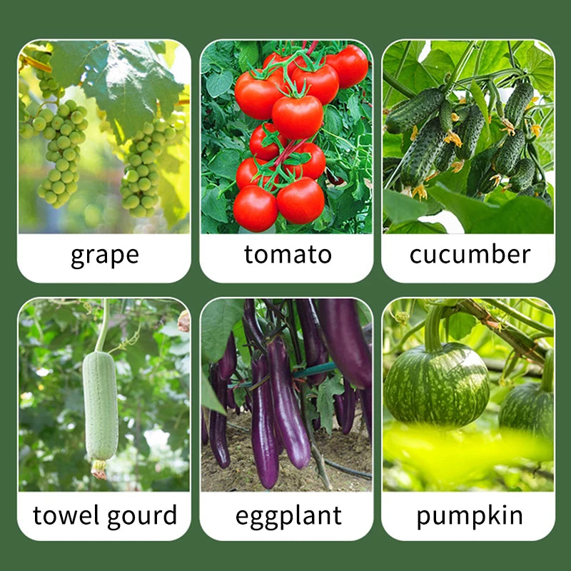Multi-Functional Agricultural Tying Machine Vine Seedling Tool Cucumber Vine Tie Gun Multi-Purpose Artifacts for Farming
