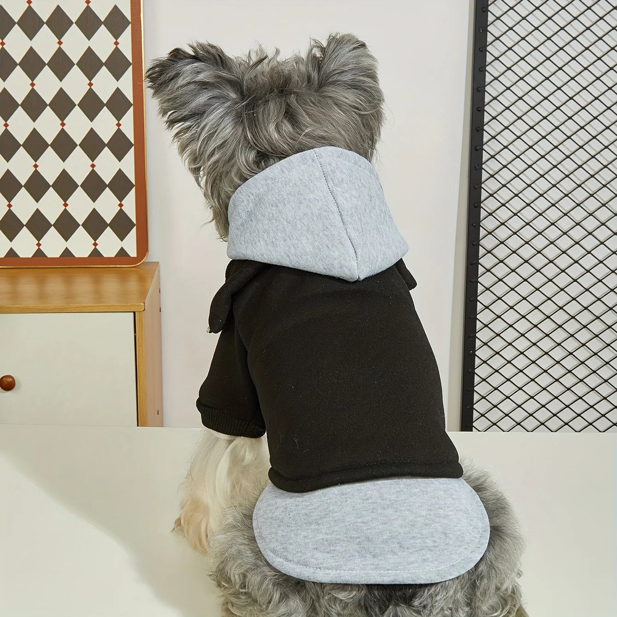 Fashion Dog Hoodie Coat - Warm Winter Clothes for Small and Medium Dogs - photo 3