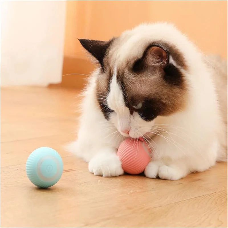 Smart Electric Rolling Cat Toy Ball – USB Rechargeable Automatic Interactive Teaser | Moving Bouncing Ball for Cats